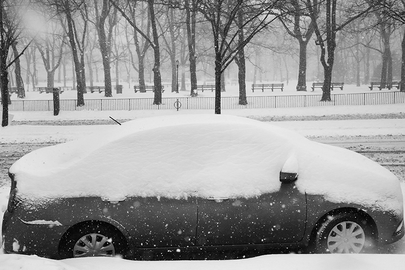 Snowstorm : 2021 : New York : Personal Photo Projects :  Richard Moore Photography : Photographer : 
